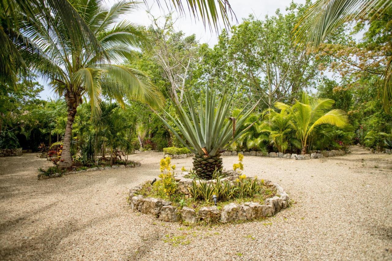 Aldea Jo-Yah Villa Tulum Pueblo Buitenkant foto
