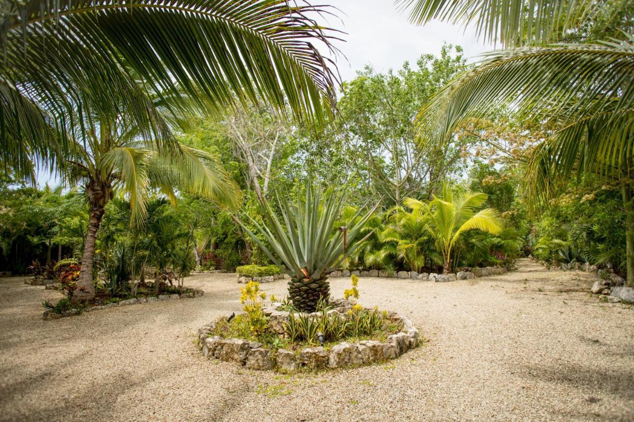 Aldea Jo-Yah Villa Tulum Pueblo Buitenkant foto